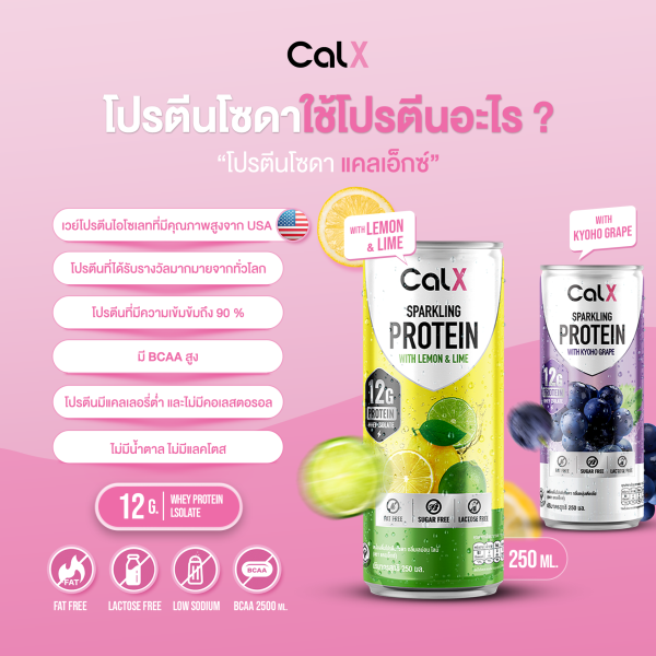 CALX โปรตีนโซดา Sparkling Protein Soda Drink - Image 5